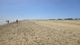 GC-Playa El Veril (Playa del Ingles) 2025-32.jpg